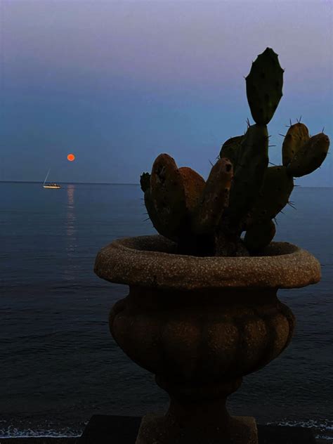 Soraja Sara Vucelic added a new photo. - Soraja Sara Vucelic