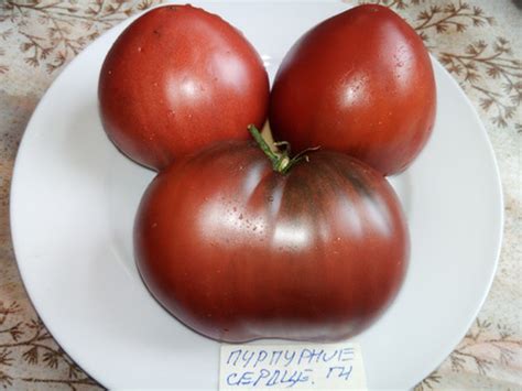 Гном Пурпурное сердце | mir-tomatov