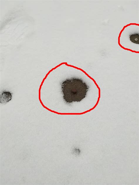 Why does snow melt around pebbles like this? [Example Pic in body] : r