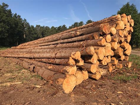 Our products - EU Timber