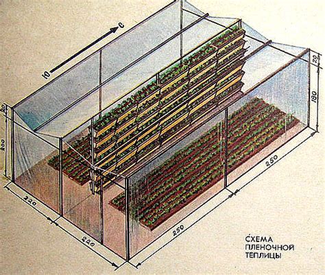 Земляника | Выращиваем землянику (клубнику) в теплице