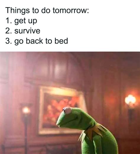 55 Kermit The Frog Memes That Might Make Your Day | Bored Panda