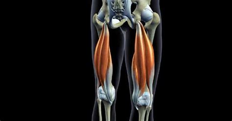 ways  train  hamstrings  home pure performance training