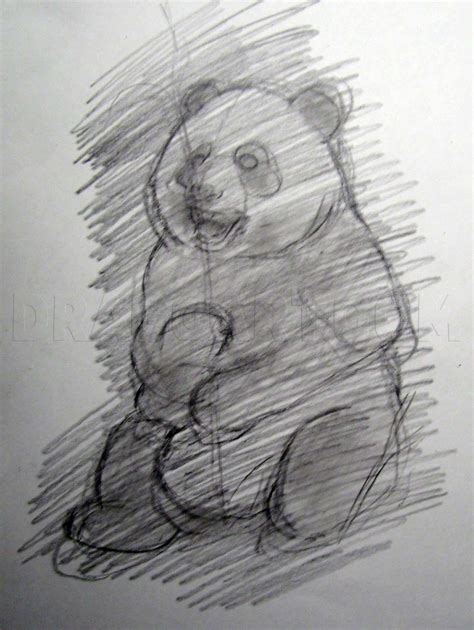 how to draw a real panda