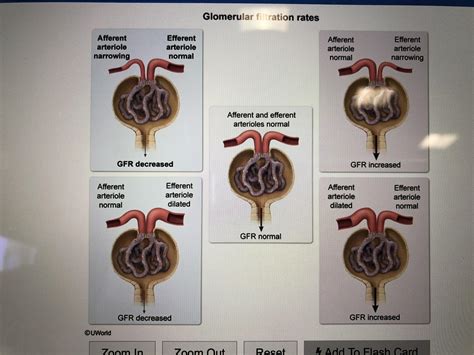 Why does GFR decrease when efferent arteriole is dilated?! I don’t get