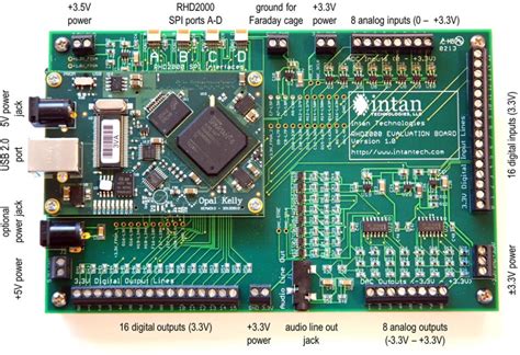 rhd usb interface board intan technologies