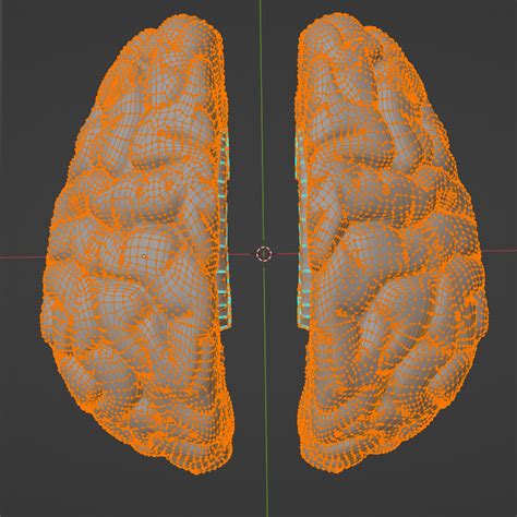 stl file  model  left   brain  printable model