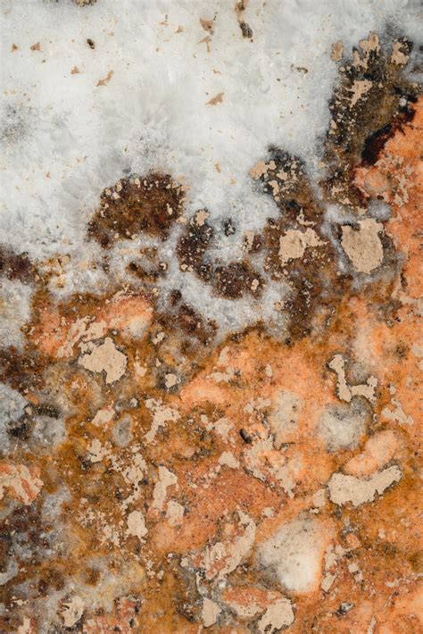 30,000+ Best Textures Photos · 100% Free Download · Pexels Stock Photos