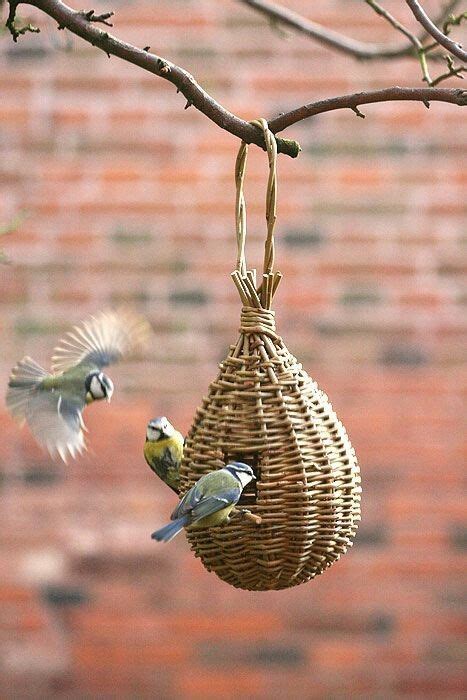 Pin on Bird's Collection | Willow weaving, Basket weaving patterns ...