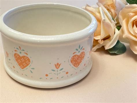 Corelle Forever Yours pattern Scouring Pad Holder, peach hearts