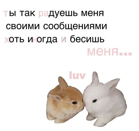 милые мемы, любовь, краш Cute Memes, Something Beautiful, Winnie The ...