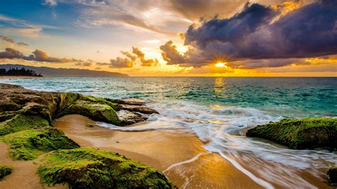 Anonib Hawaii: Is It Right For YOU? Find Out Now! Image 19