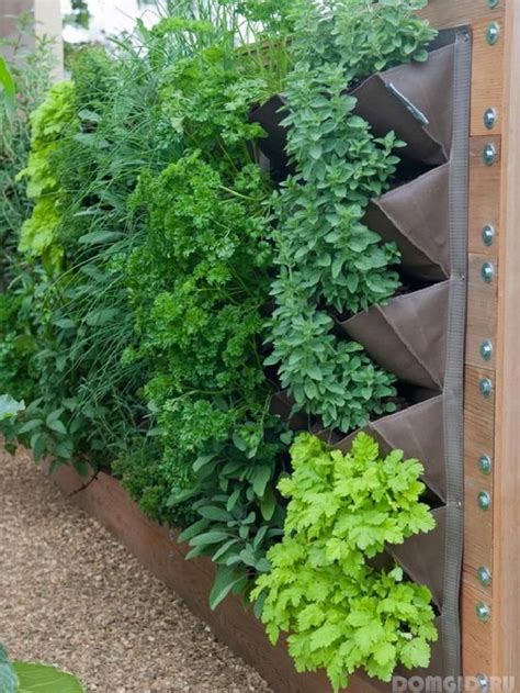 Вертикальные сады в интерьере современного дома | Vertical vegetable ...