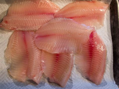 how do you know if tilapia is bad 4