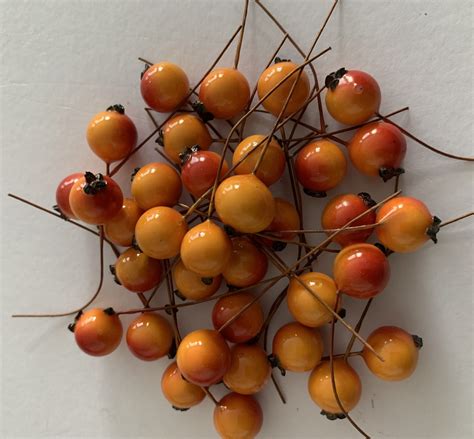 More location openings are planned for fans who shop ross stores 9