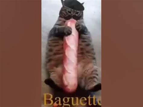 baguette cat #мем #багет #кот #shorts #memes #cat #baguette - YouTube