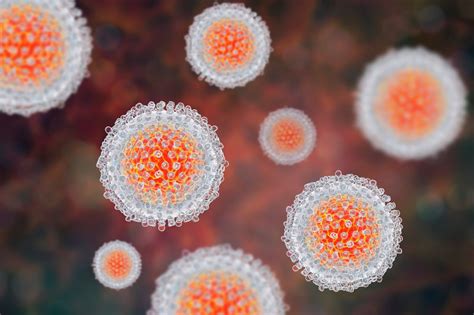 Hepatitis C – Ursachen und Behandlung - Gesundheitsreport.com