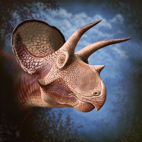 Pops the Triceratops. Art by Andrey Atuchin. : r/Paleontology