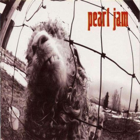 Pearl Jam - Vs. (1993, Orange Disc, CD) | Discogs