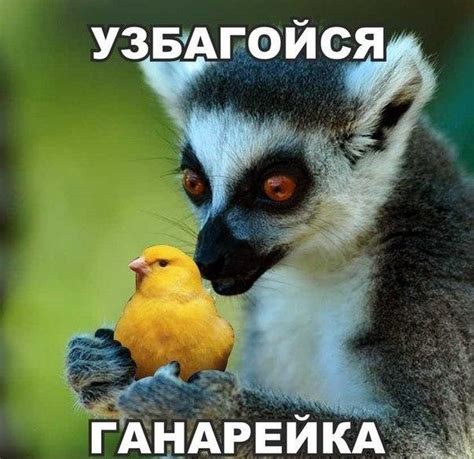 Узбагойся - прикольные картинки (50+ фото) • Лучшие картинки