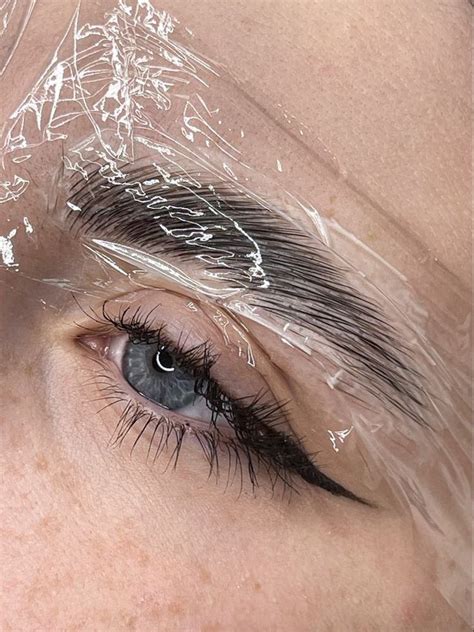Pin by Morgan Crumley on Beauty room | Brow lamination, Eyebrows ...