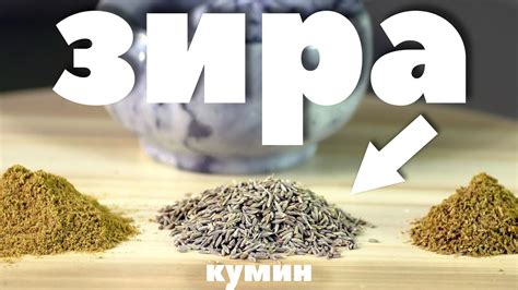 СПЕЦИИ ПО ВКУСУ: ЗИРА (КУМИН) с рецептами применения. - YouTube