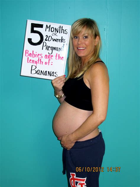 Our journey to be parents: I am 5 months pregnant with twins!!