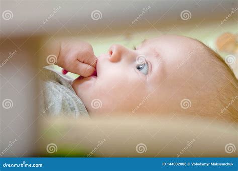 Сон ` S младенца Restful Newborn младенец в деревянной шпаргалке ...