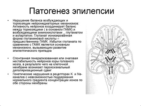 Эпилепсия. Эпилептический статус - презентация онлайн