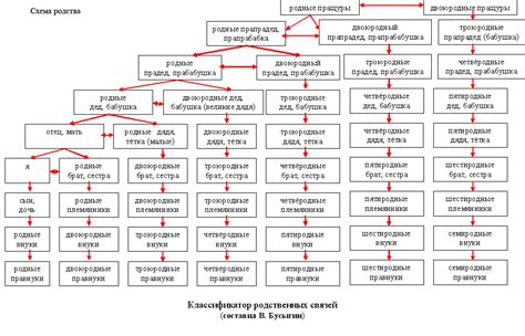 Родословие - Термины родства