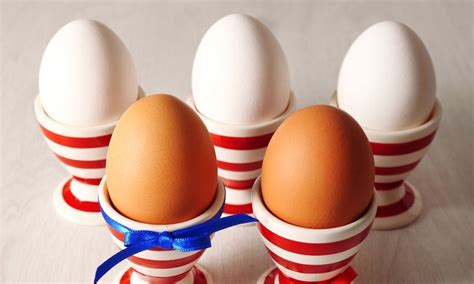 O Que Significa Sonhar Com Bastante Ovos - 5