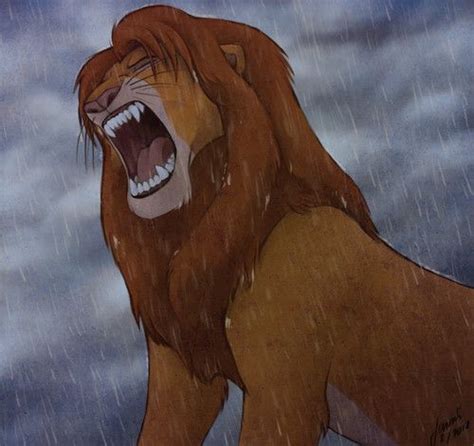 the lion roars in the rain with his mouth open