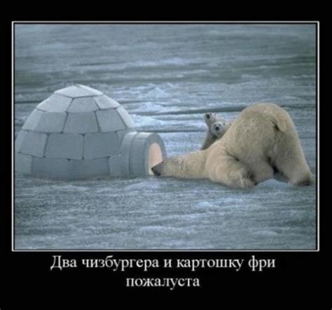 Скачать прикольные и красивые картинки: ржака)))))))) на fun.tochka.net