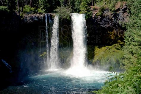 McKenzie River Gallery