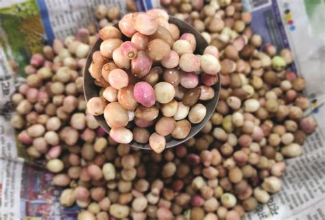 Delightful Summer Fruits of Goa - GoGoaNow ! Goa Events