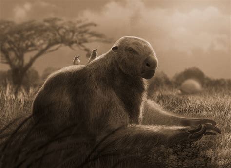 Megatherium by kepyle2055 on DeviantArt