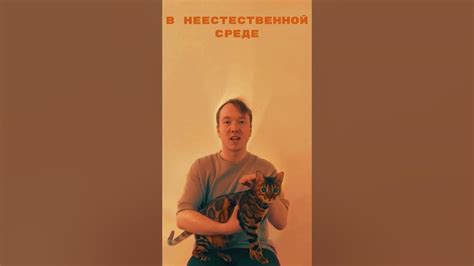 До конца:)Ни один Ягуар не пострадал! Нас стало трое и мы поем про ...