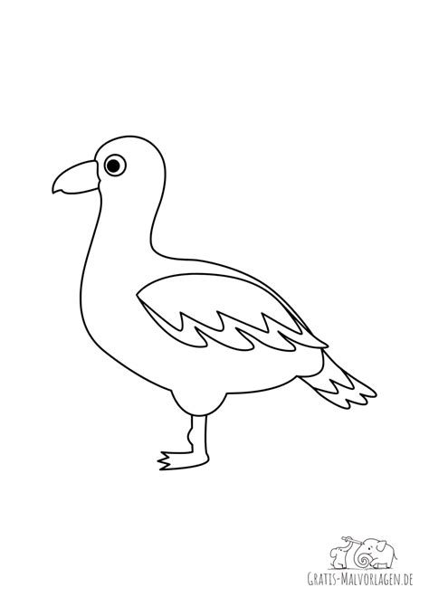 Ausmalbild Möwe - Gratis Malvorlagen