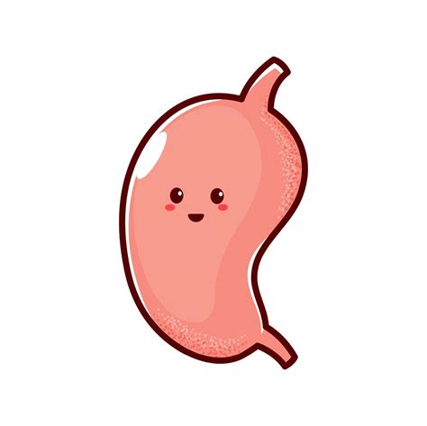 Digestive system organ stomach cartoon character 10876280 Vector Art at ...