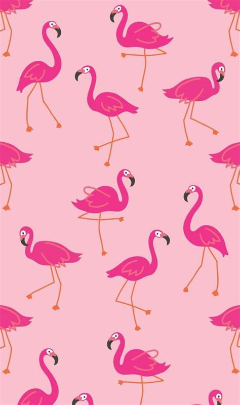 Download Pink Flamingos 905 X 1528 Wallpaper Wallpaper | Wallpapers.com