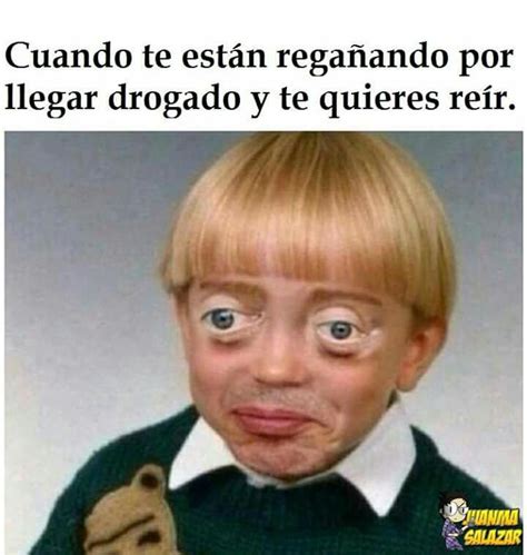 memes memes   laughs     meme