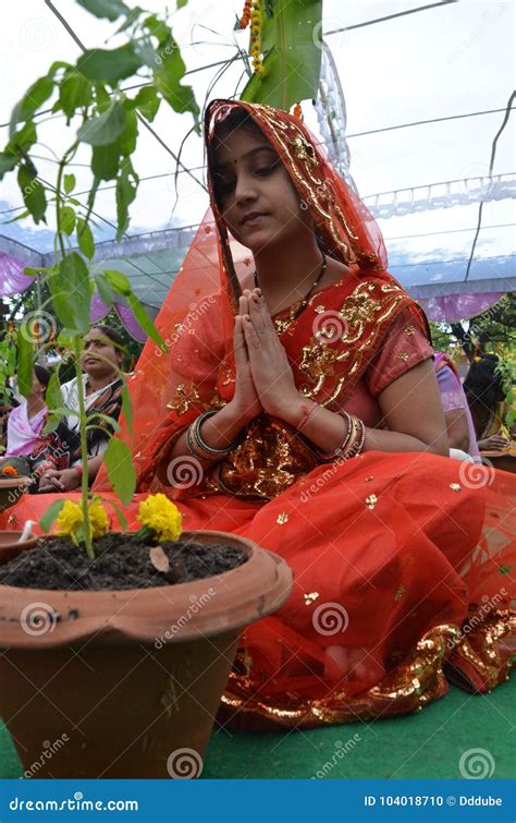 holy basil  tulsi plant leaves   small pond ancient hindu