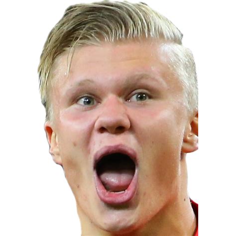Sticker Maker - Erling Ov