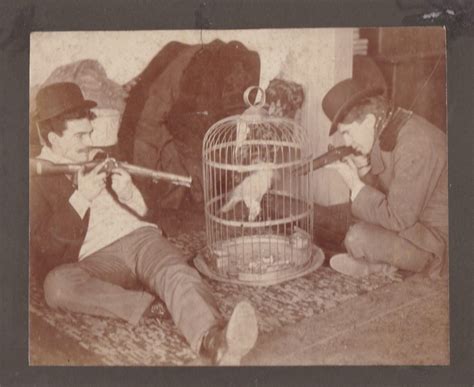 vintage birds-13 - Flashbak