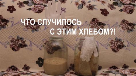 Эксперимент: есть ли живые дрожжи в хлебе? - YouTube