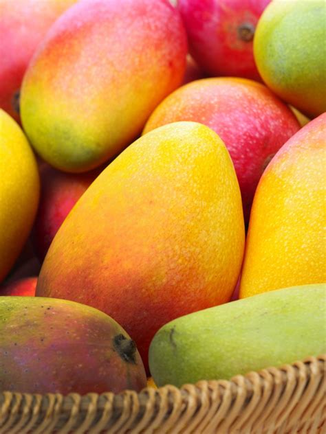 As mangas: características e ficha técnica | Mudas frutiferas, Fruta ...