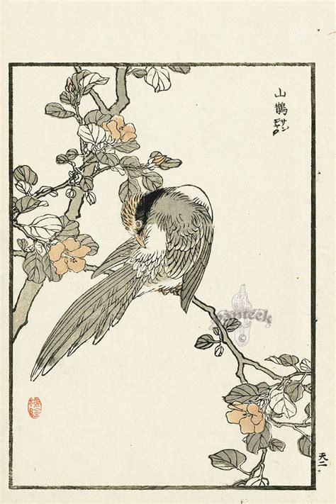 из японских гравюр журавли, орлы, цапли, цапля | Japanese woodblock ...