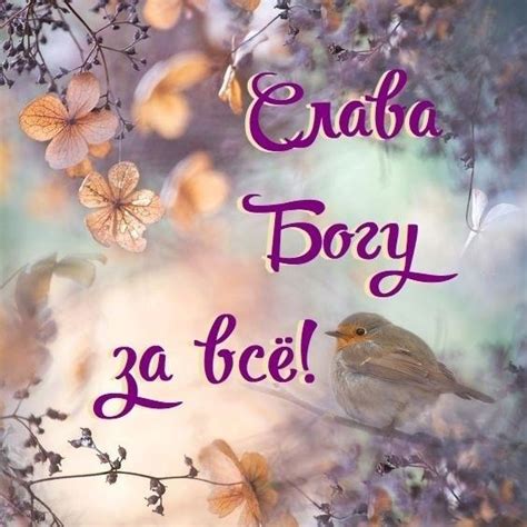 Иван Санин | ВКонтакте