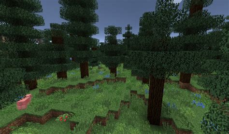 500px-SpruceWoodsMDC.png