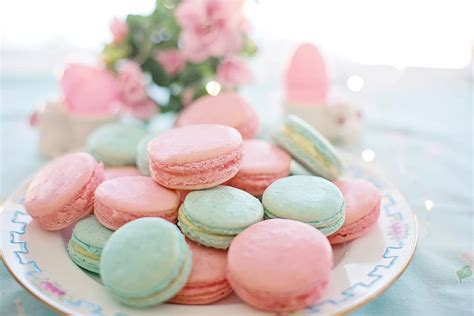HD wallpaper: macarons, pink, aqua, pastels, cookies, biscuits, sweet ...